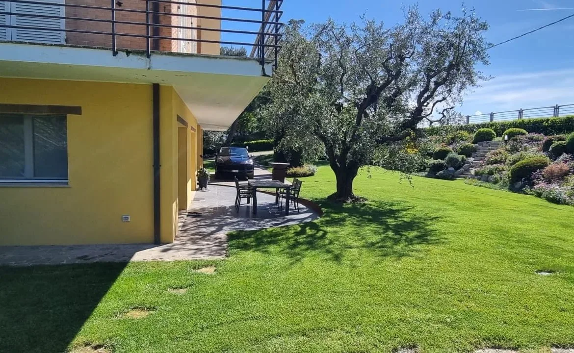Giardino laterale della villa con ulivo secolare.