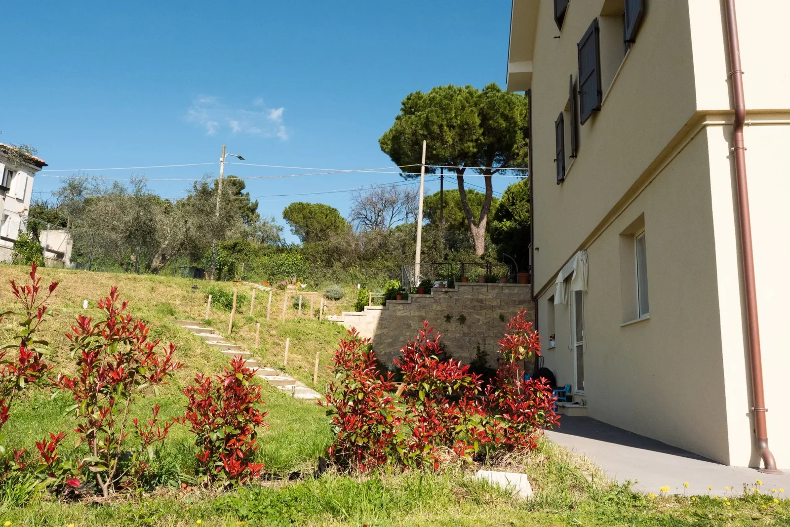 Giardino laterale con fiori e arbusti.