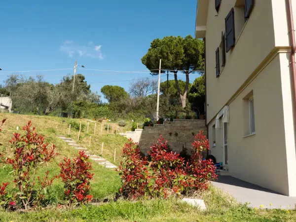 Un'altra vista del giardino.