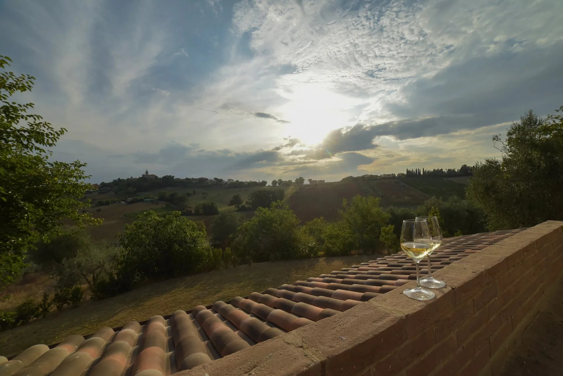 Terreno con ulivi della casa colonica a Barbara, Senigallia