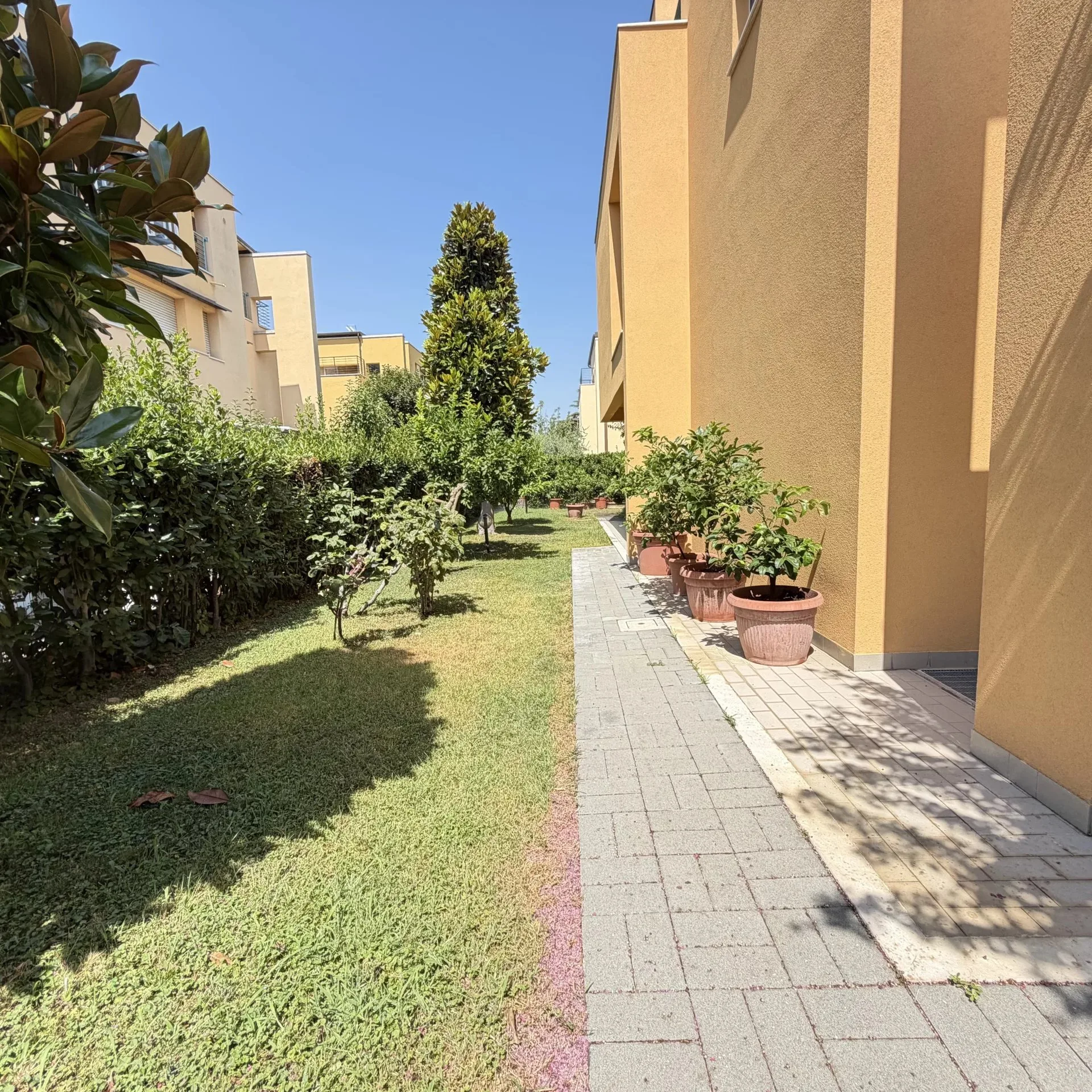 Vialetto del giardino con piante di agrumi dell'appartamento a Ciarnin