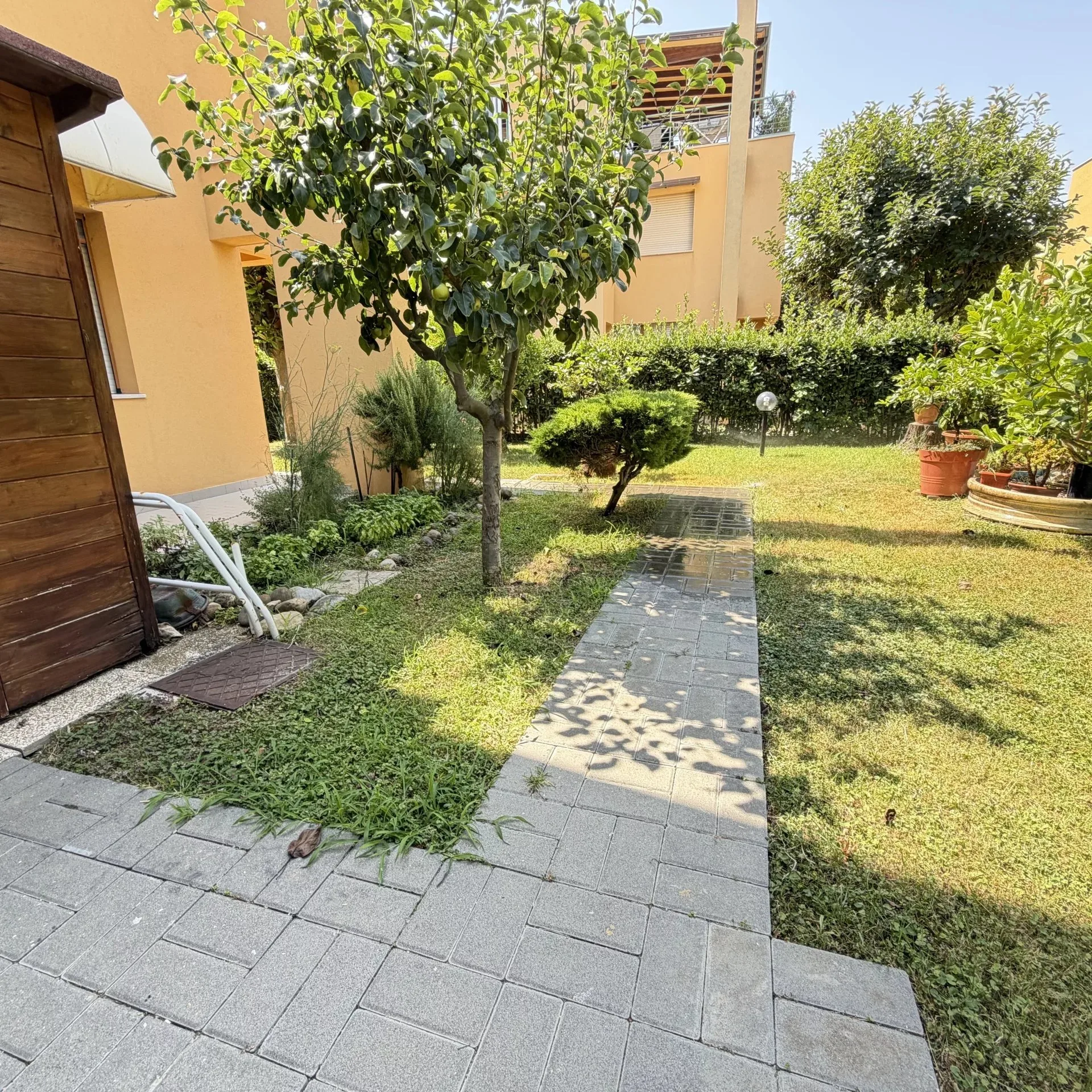 Vialetto tra il melo e il prato del giardino dell'appartamento a Ciarnin